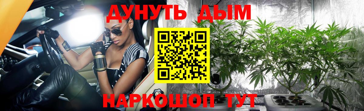 Конопля тримм  Шишки марихуана конопля  Шишки марихуана план  Вход с VPN  Канабис индика  Надым 